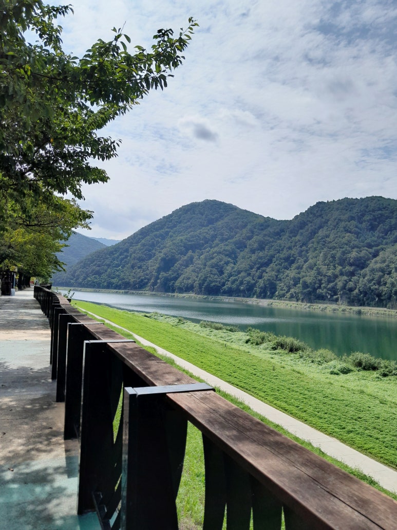 흑마늘황기명태 이미지