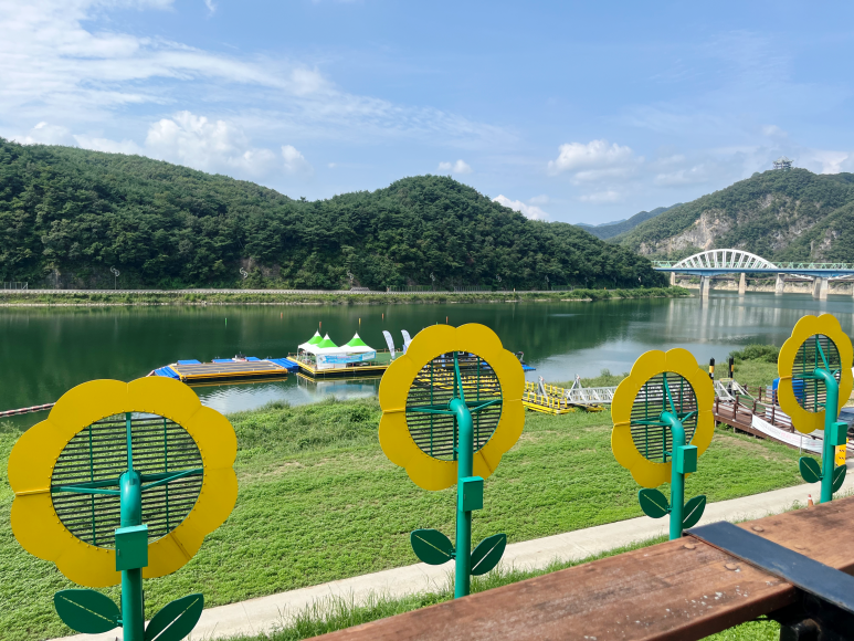 흑마늘황기명태 이미지