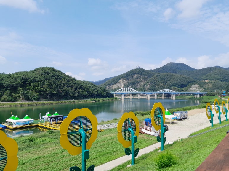 흑마늘황기명태 이미지