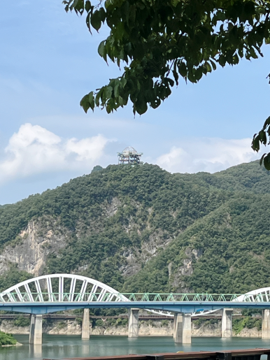 흑마늘황기명태 이미지