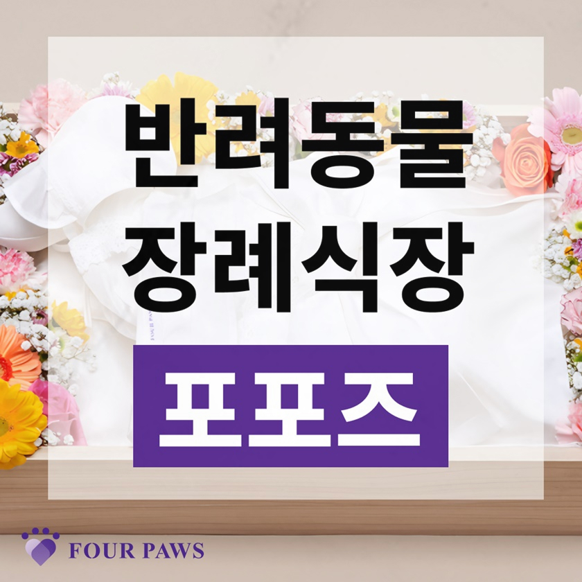 강아지 장례 비용, 믿을 수 있는 포포즈 장례식장 안내 — 사진 2