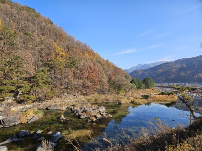 카페오무아무아 이미지