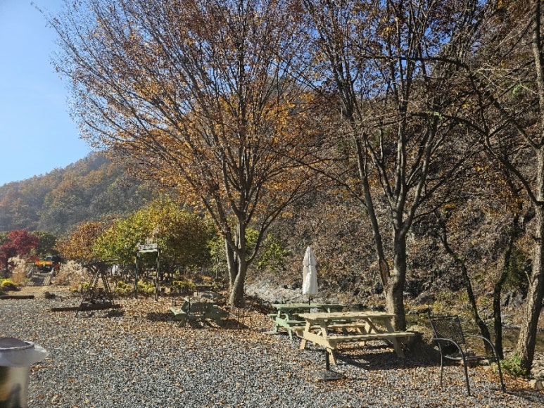 카페오무아무아 이미지