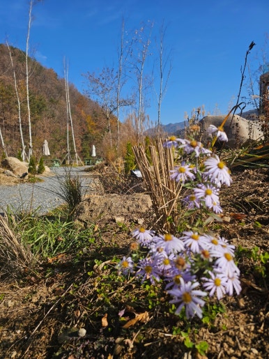 카페오무아무아 이미지