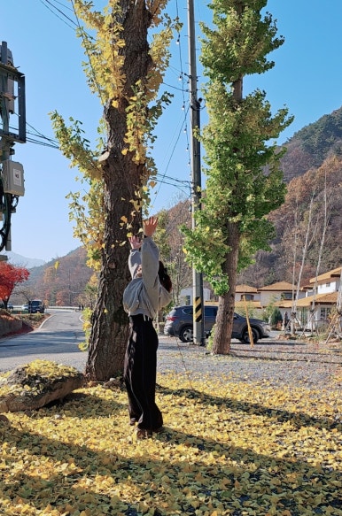 카페오무아무아 이미지