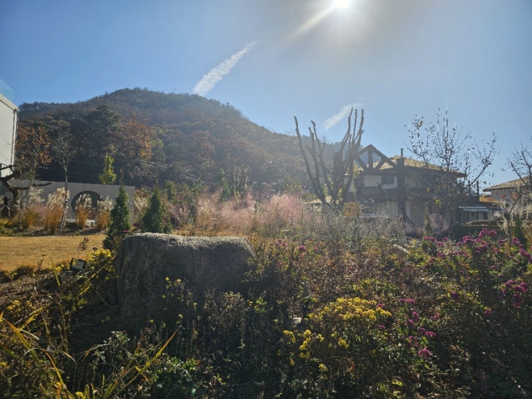 카페오무아무아 이미지