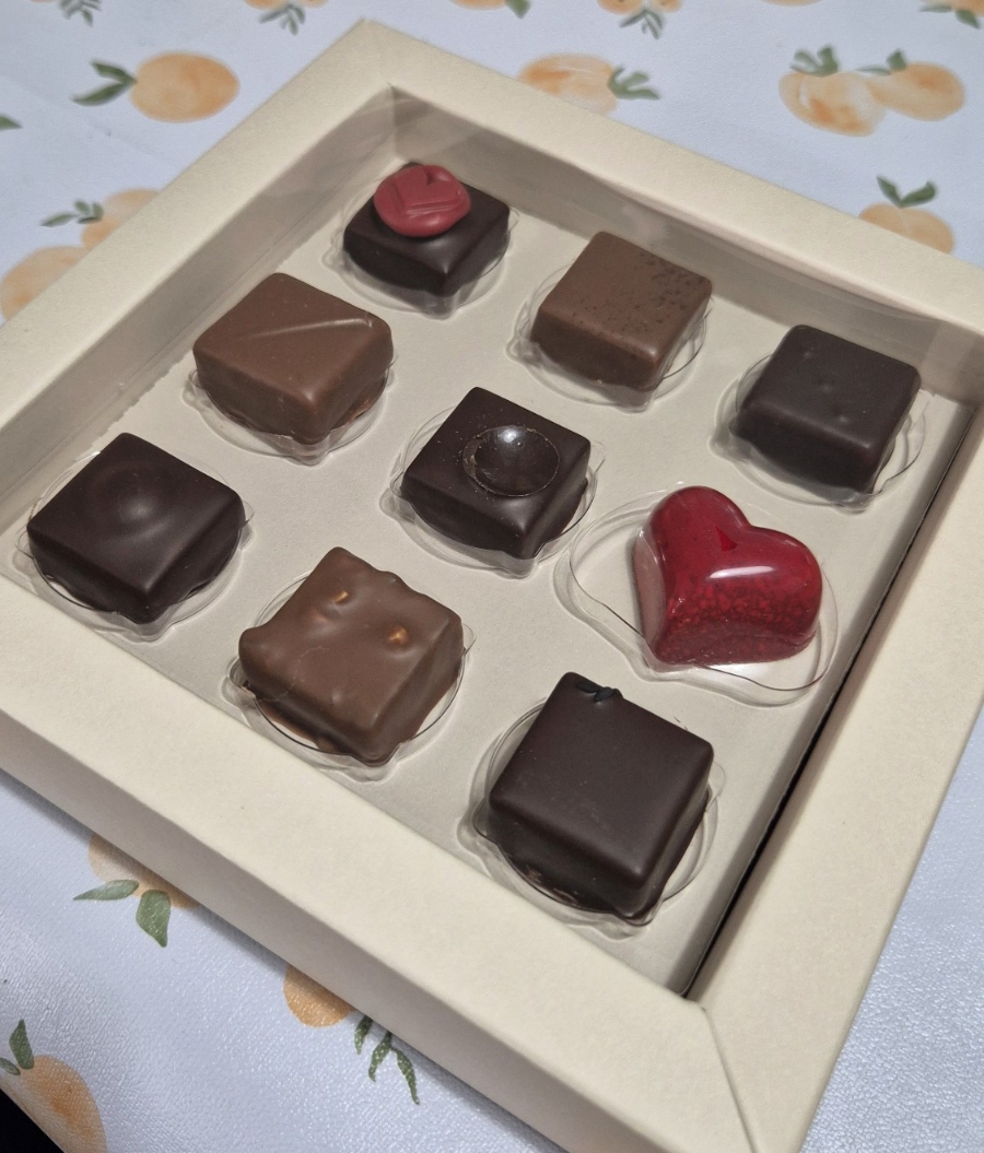 쇼콜라쏭즈 사진 6