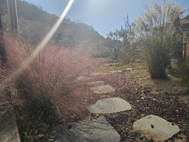 카페오무아무아 이미지