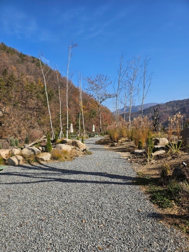 카페오무아무아 이미지