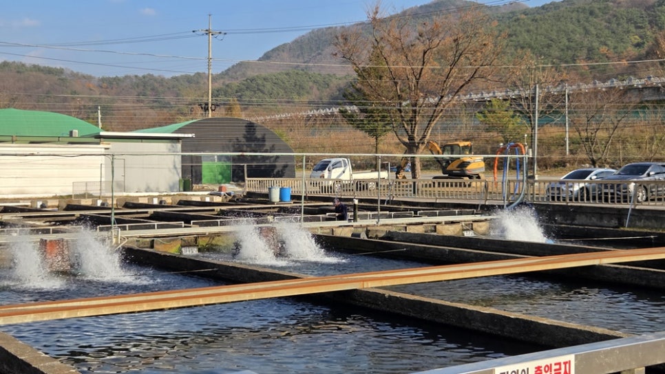 옥동양어장횟집 이미지