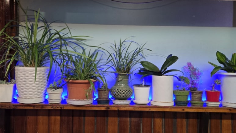 시골왕족보쌈 이미지