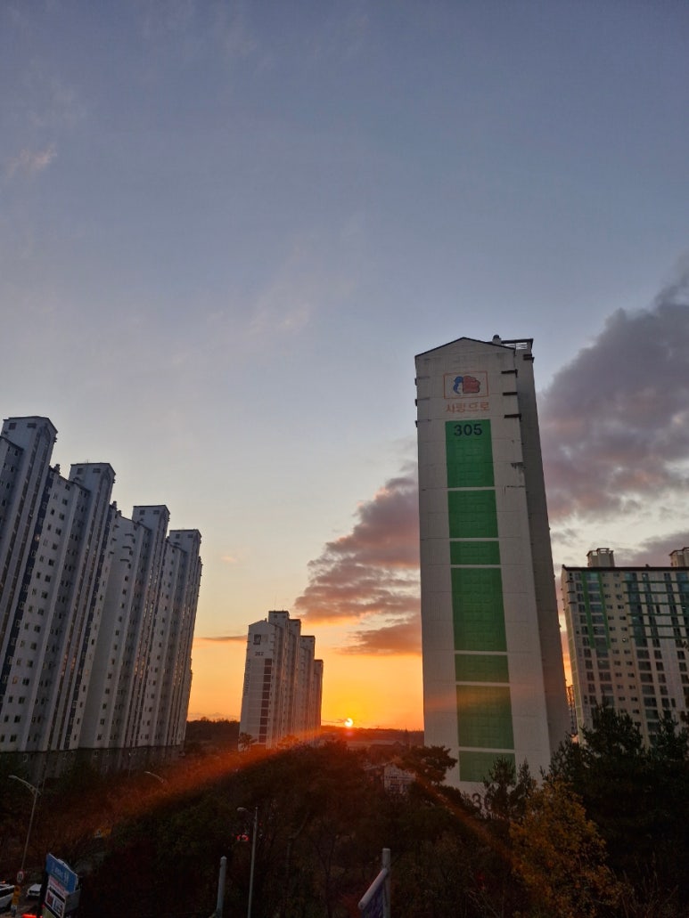 진해장국 창동점 사진 5