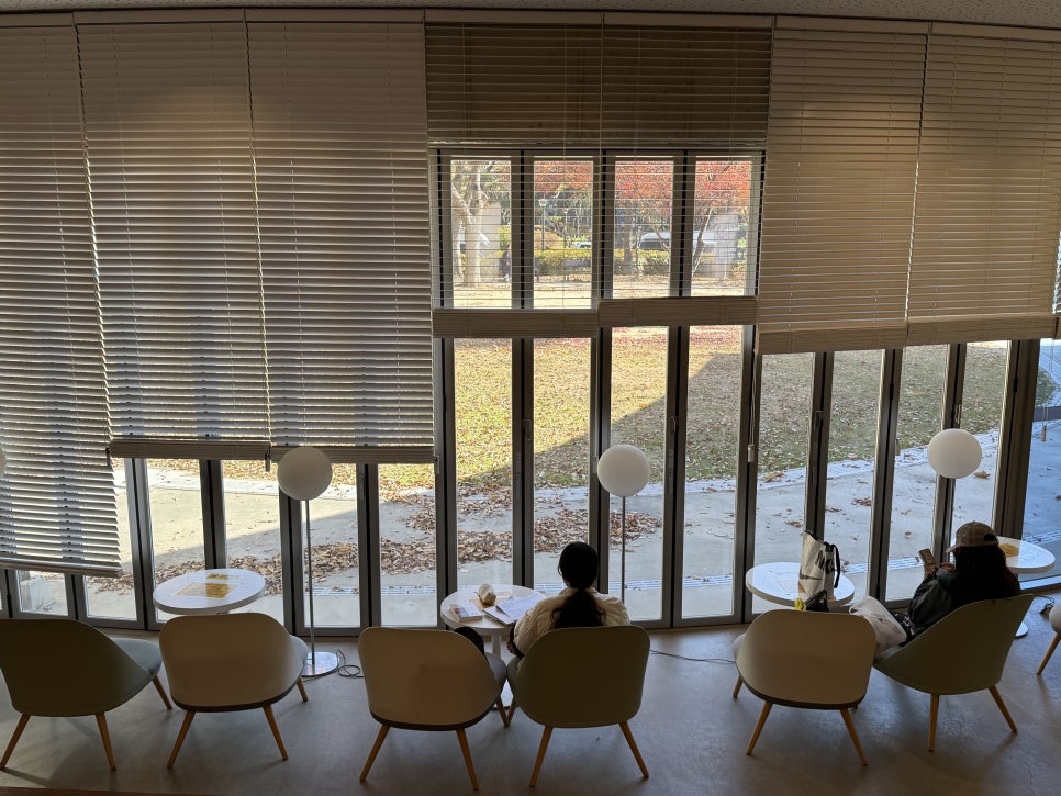 브로콜리 지역정보 관련 사진 11