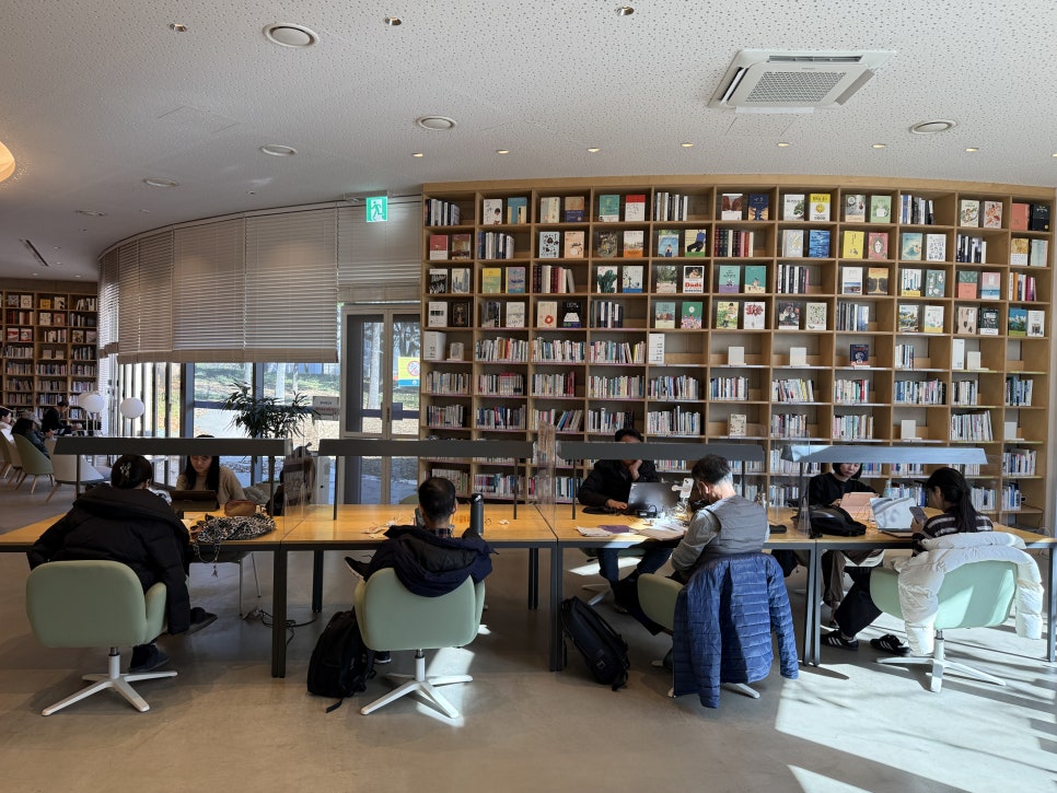 브로콜리 지역정보 관련 사진 10