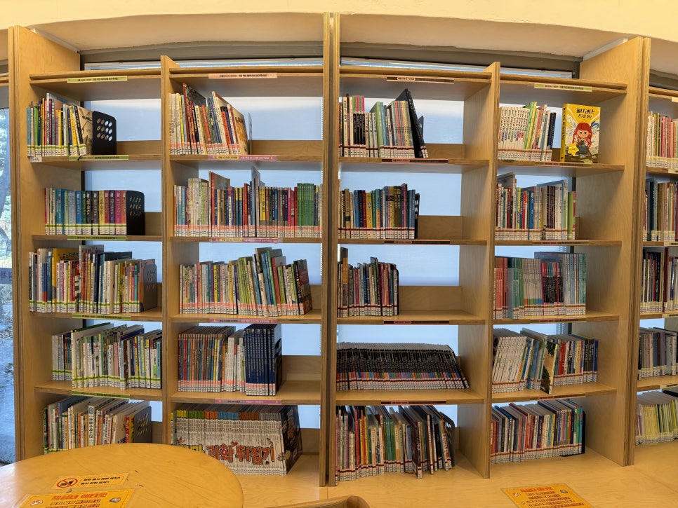 브로콜리 지역정보 관련 사진 13