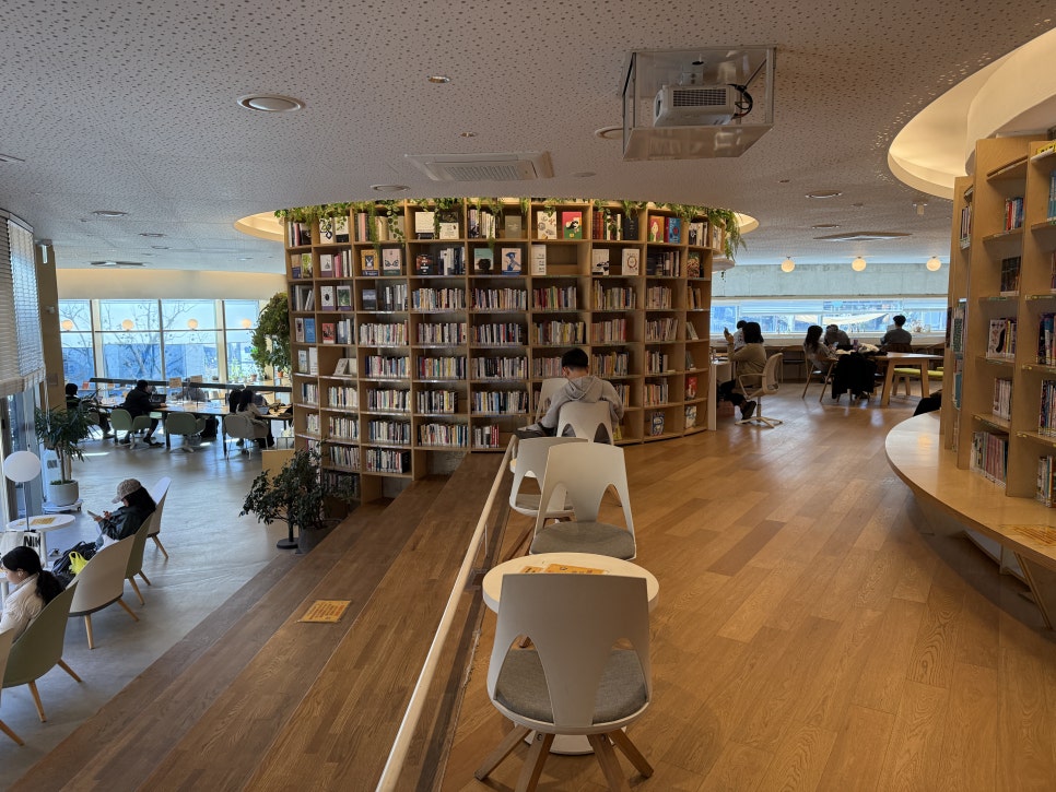 브로콜리 지역정보 관련 사진 4