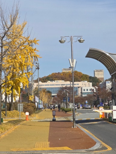히노아지 포스코센터점 사진 2