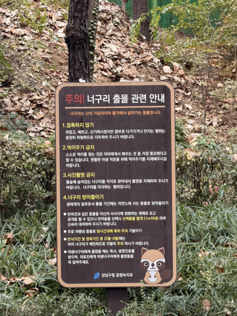 동대문엽기떡볶이 언주역점 사진 6