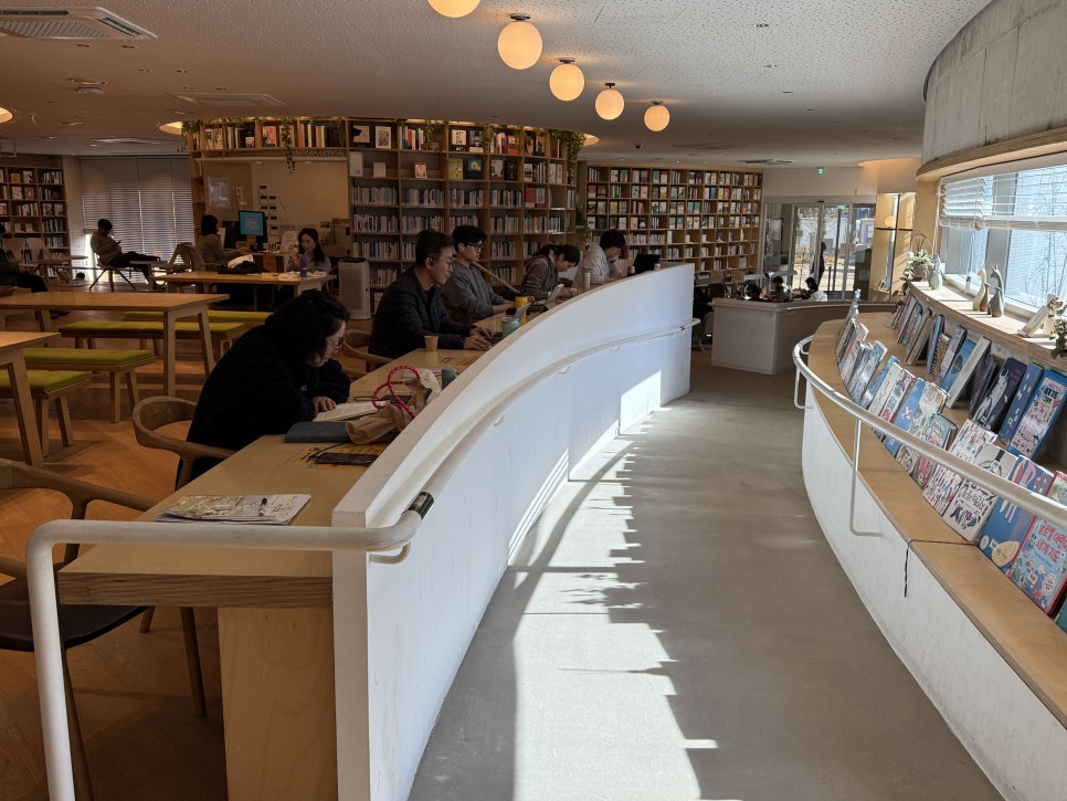 브로콜리 지역정보 관련 사진 9