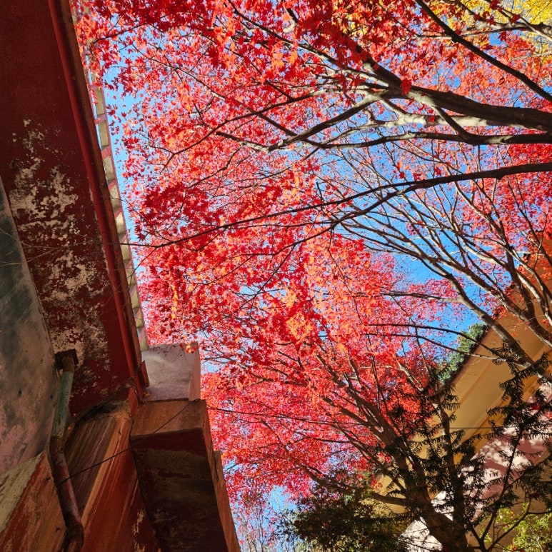 산촌가든 이미지