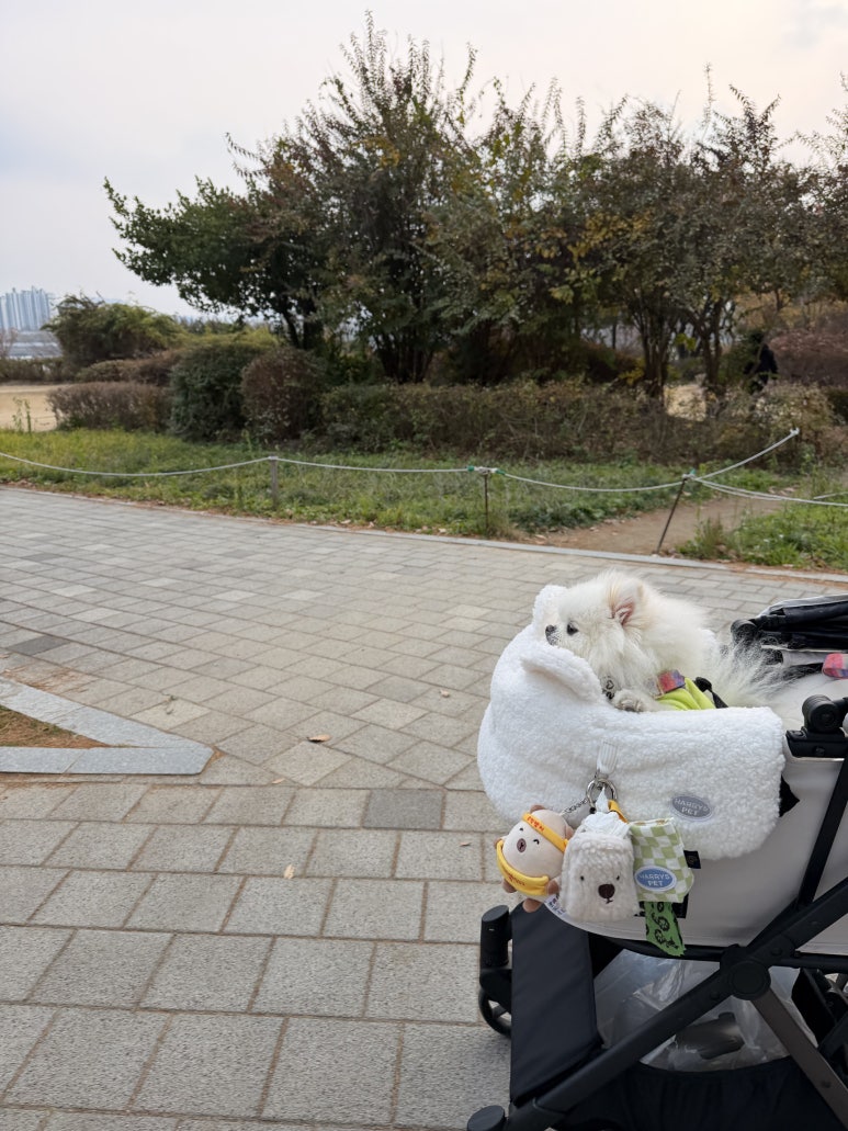피치엔버거 사진 4