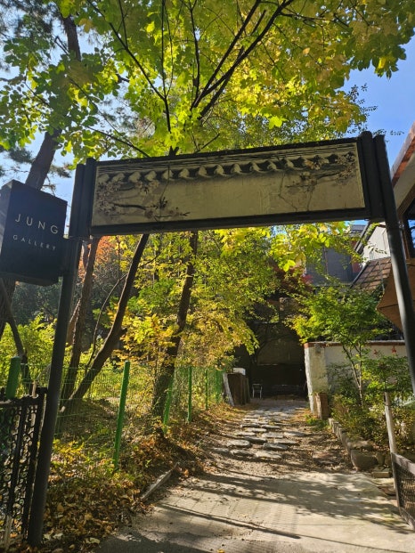 테이엔 사진 8