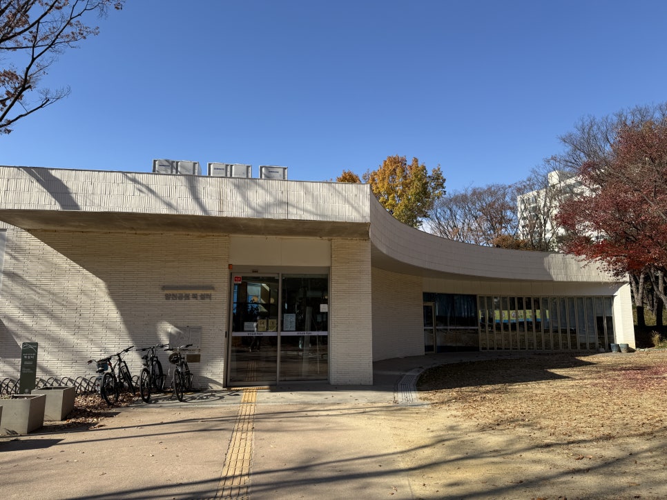 브로콜리 지역정보 관련 사진 2