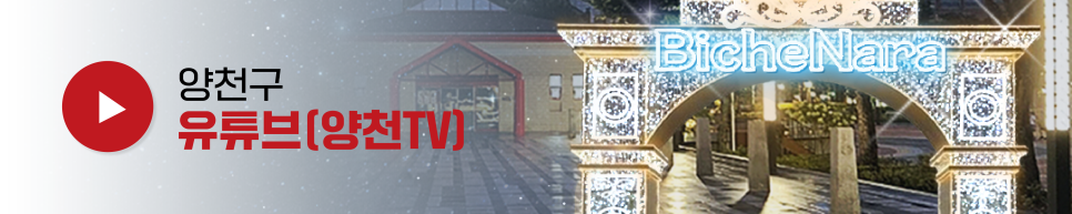 브로콜리 지역정보 관련 사진 27