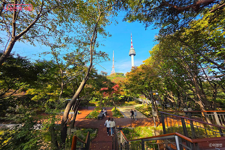 브로콜리 지역정보 관련 사진 3