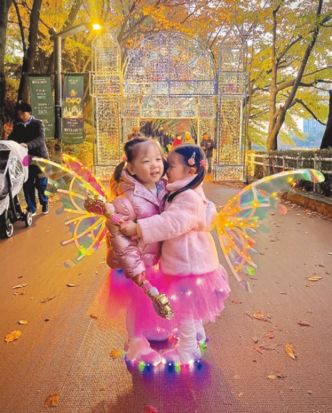 브로콜리 지역정보 관련 사진 3