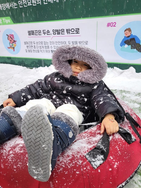 브로콜리 지역정보 관련 사진 5