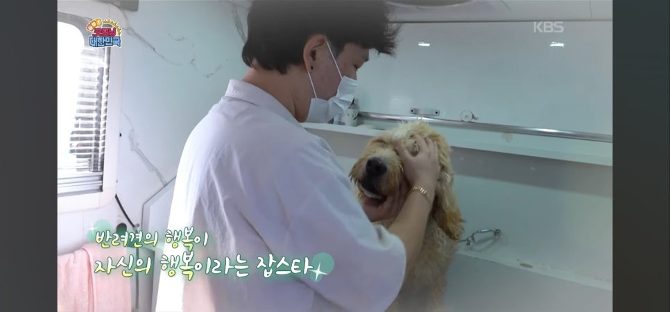 대형견 출장 미용 & 목욕, 멍빨DAY로 스트레스 없이! — 사진 16