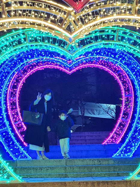 브로콜리 지역정보 관련 사진 6