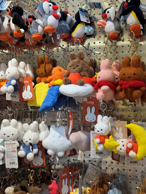 브로콜리 지역정보 관련 사진 13