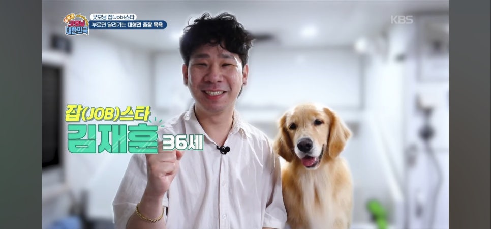대형견 출장 미용 & 목욕, 멍빨DAY로 스트레스 없이! — 사진 14