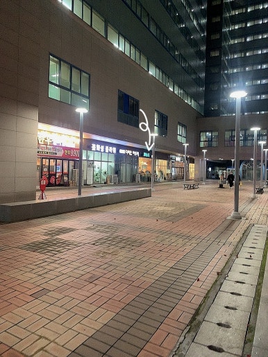 로미스프 사진 2