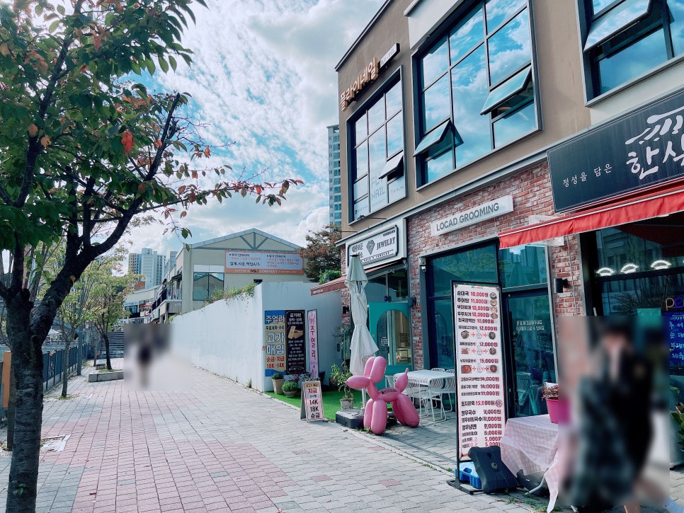 토이 푸들 스포팅 곰돌이컷 미용 비용 및 후기 — 사진 8