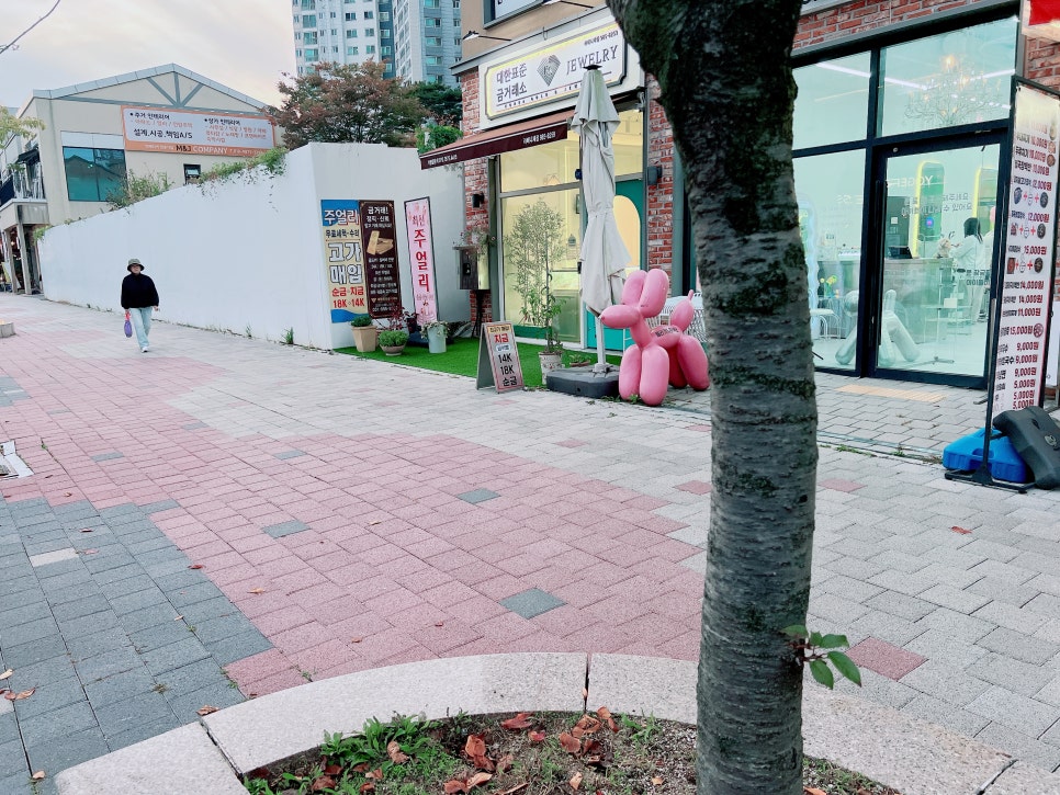 토이 푸들 스포팅 곰돌이컷 미용 비용 및 후기 — 사진 10