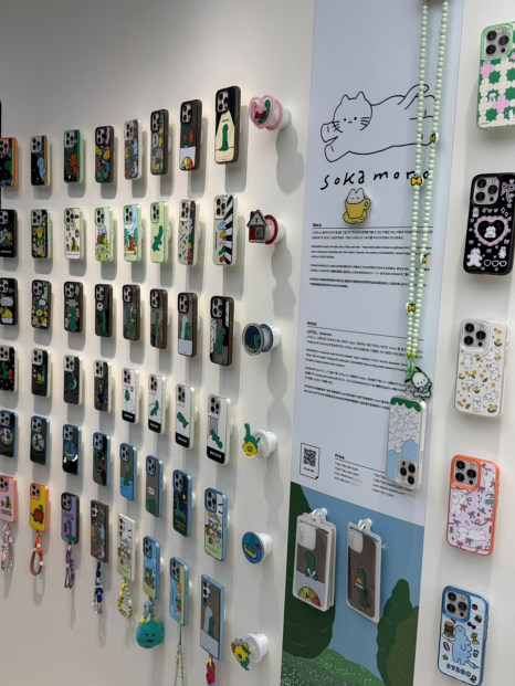 브로콜리 지역정보 관련 사진 12