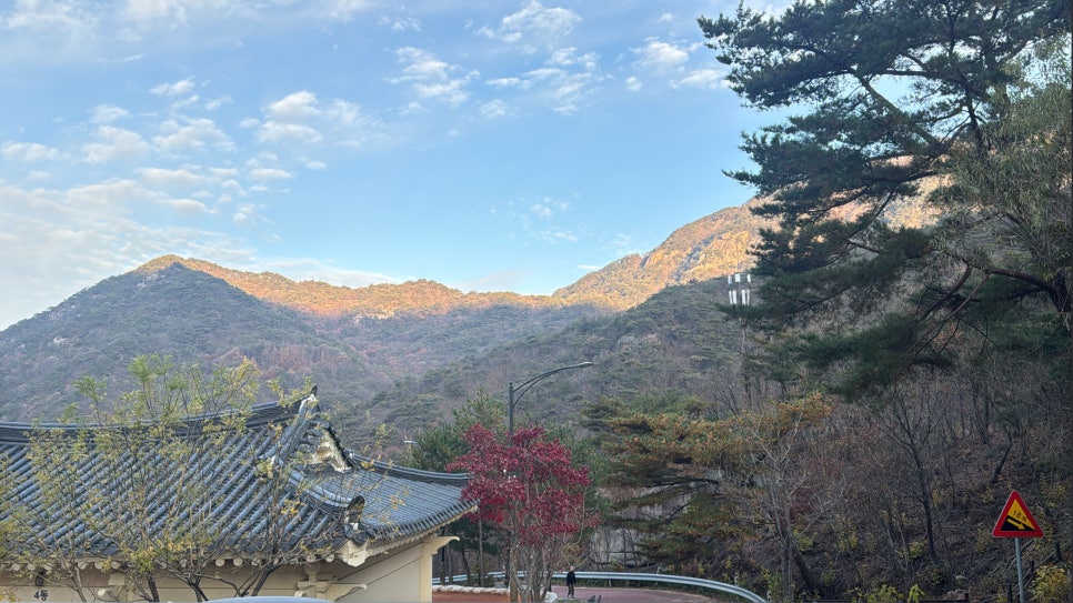 청풍힐링스테이 이미지