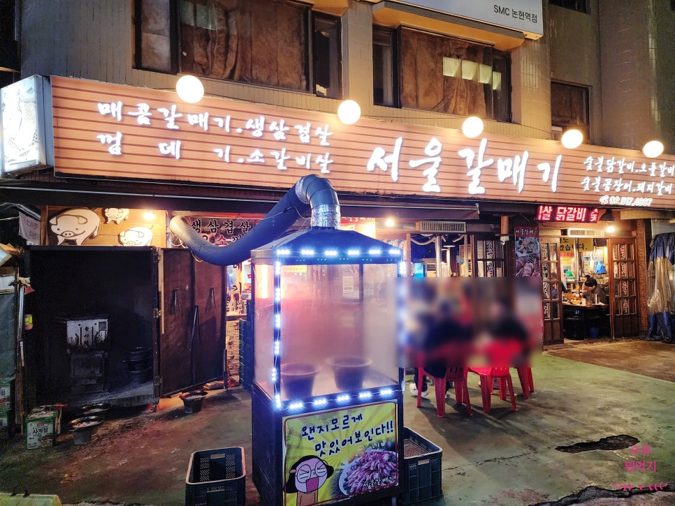 서울갈매기 사진 7