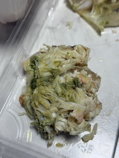 마츠 사진 5