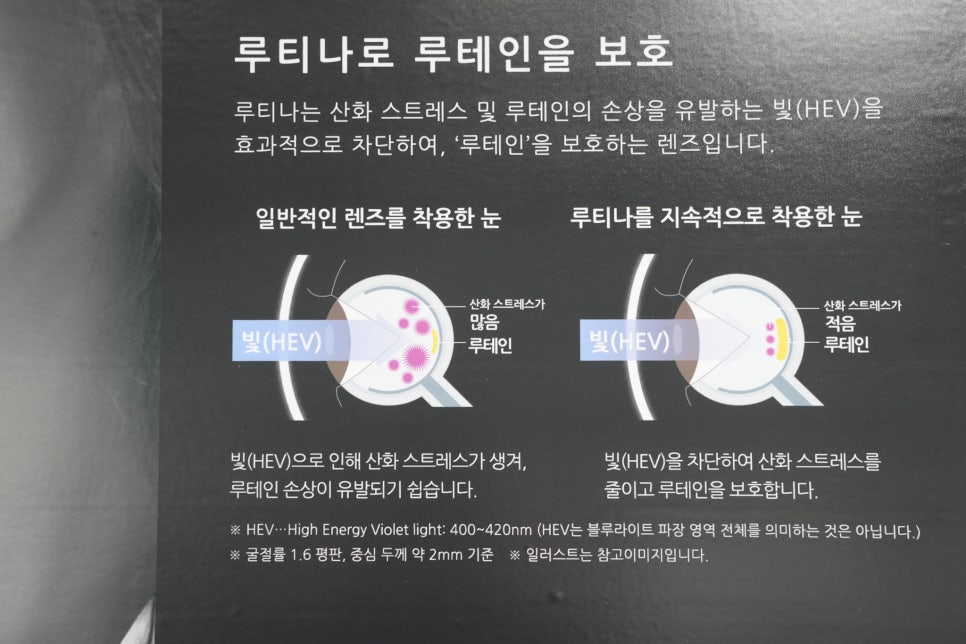 2025 국제안경광학산업 전시회 TOKAI 렌즈 부스 참관기 "눈 건강 기술을 체험하다." 이미지 7