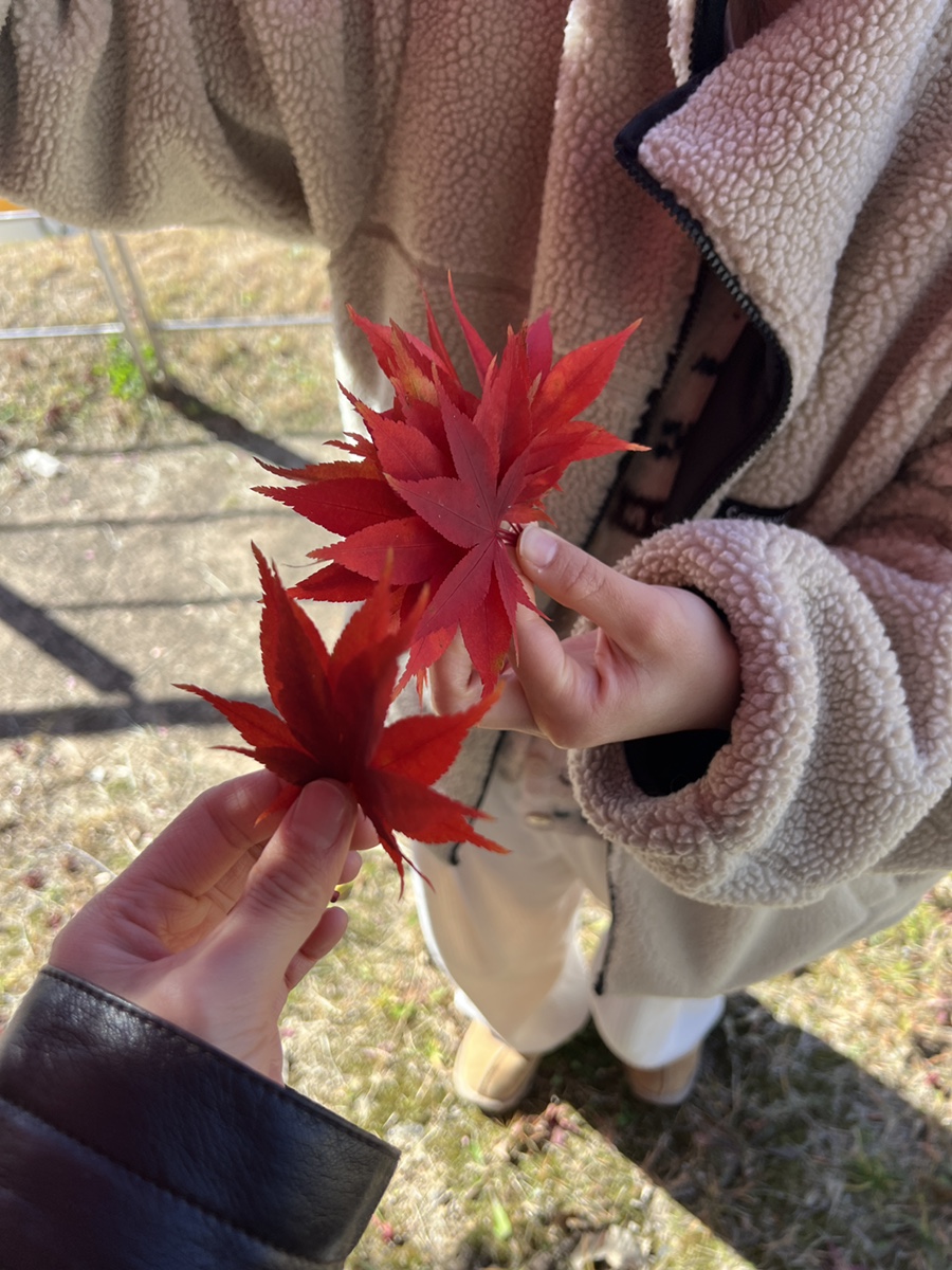 강원토속식당 이미지