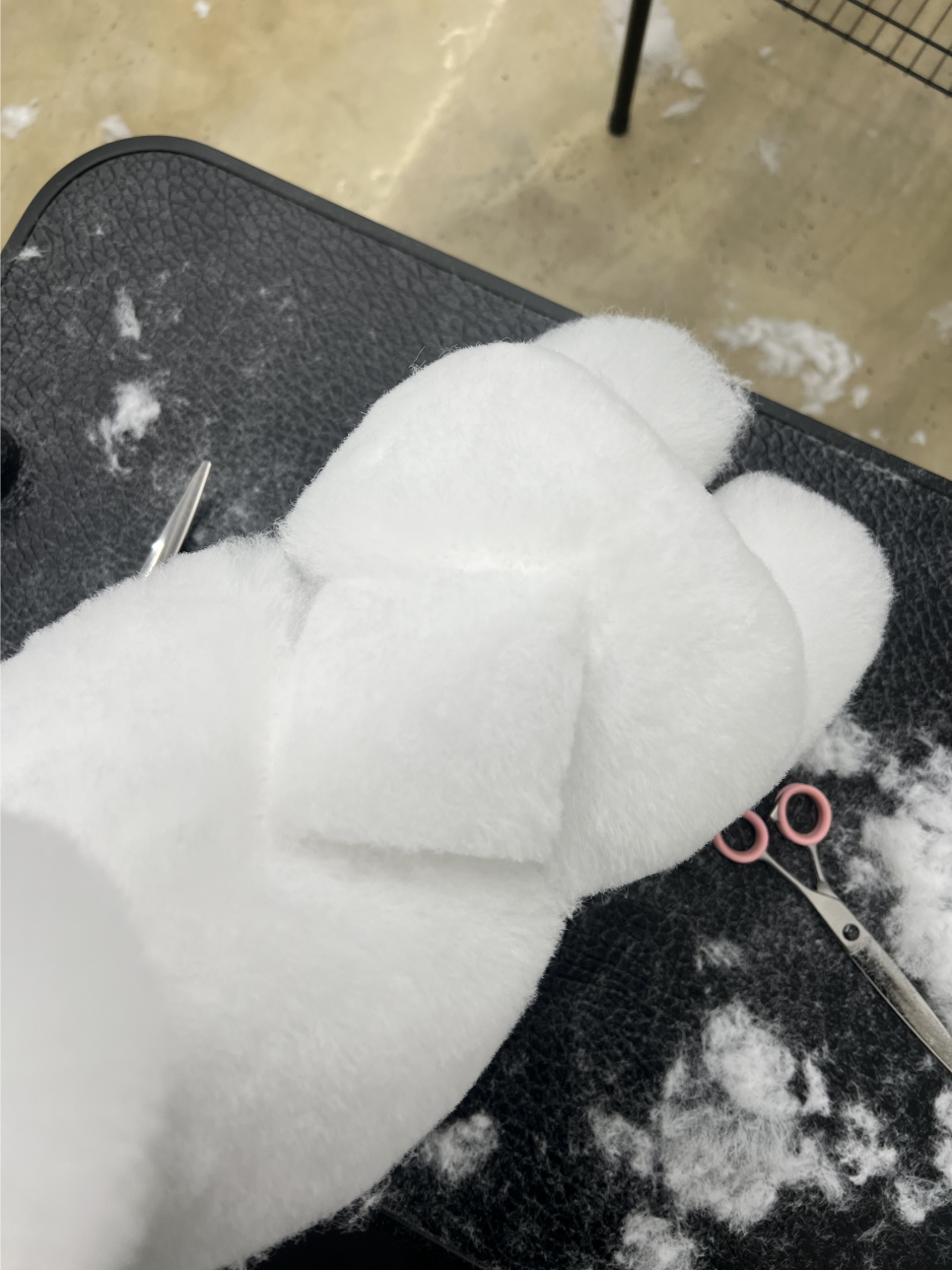 부평 강아지미용학원 3·2급 자격증 과정 및 취업 준비 — 사진 3