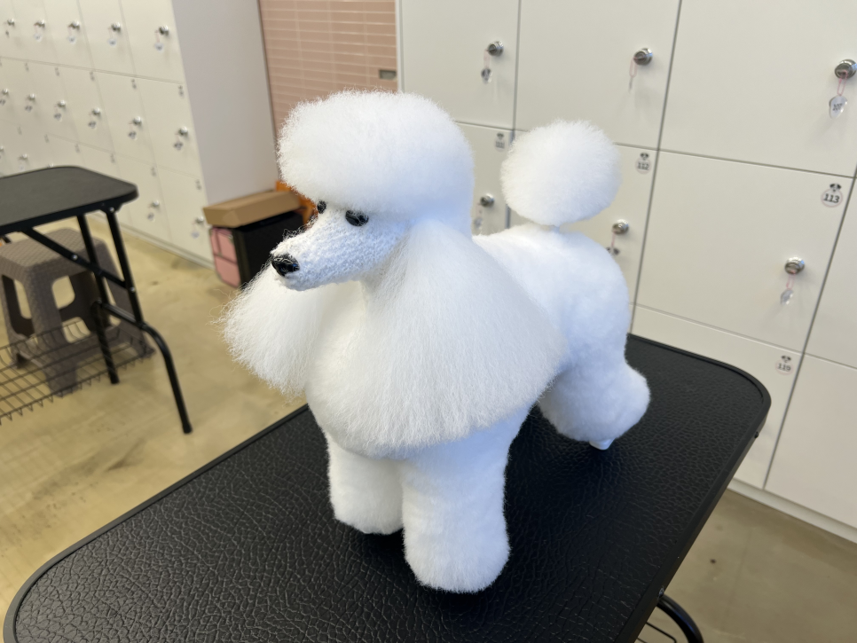 부평 강아지미용학원 3·2급 자격증 과정 및 취업 준비