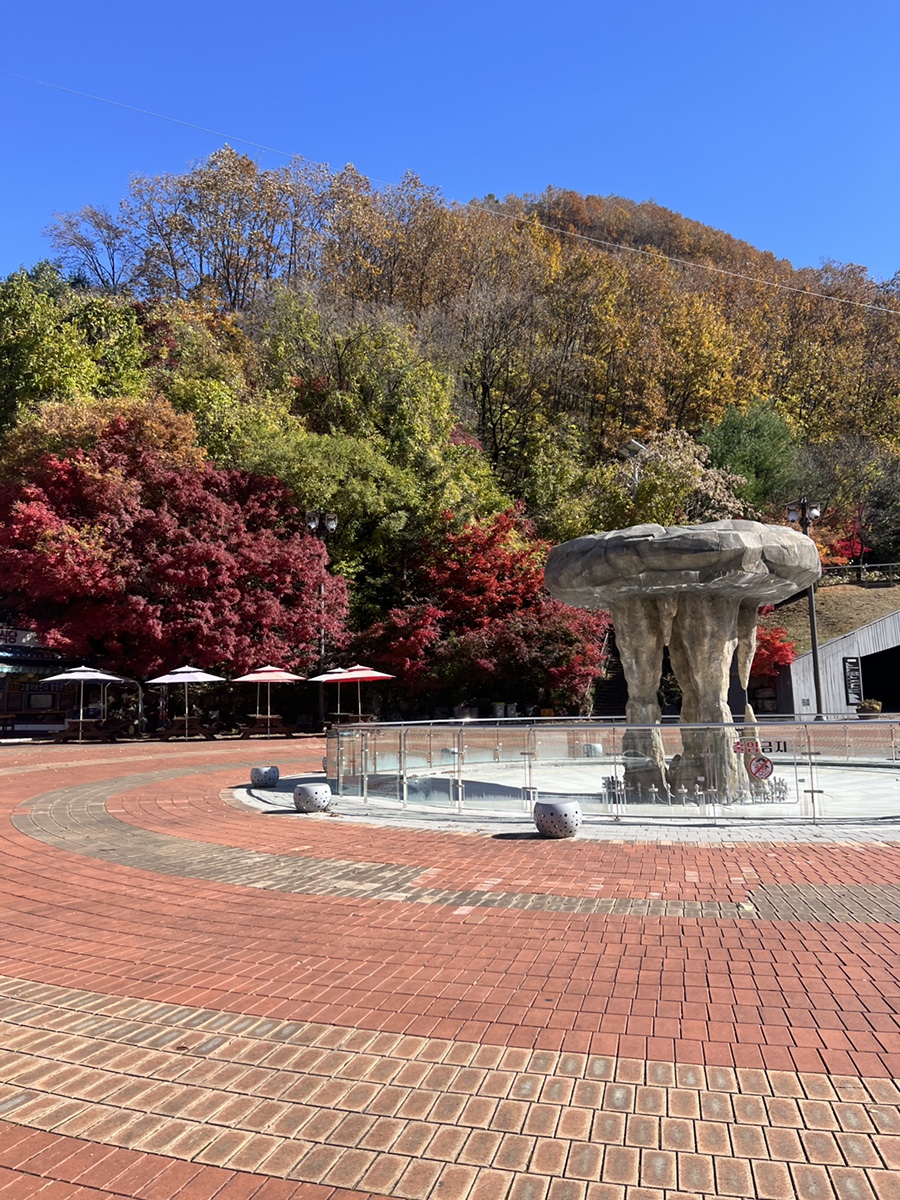 강원토속식당 이미지