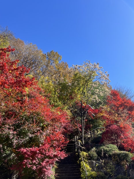 강원토속식당 이미지