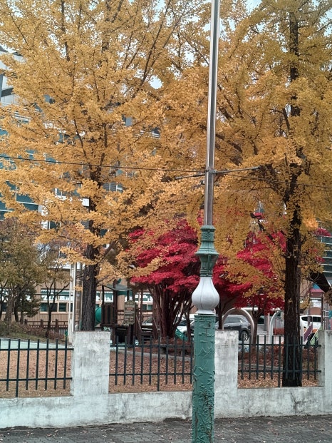 라이라이 이미지