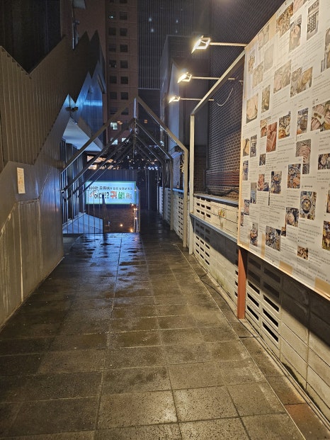 구삼육 신논현본점 사진 7